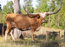 Riverforks West Of 50